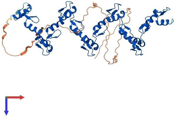 ZNF71 Protein (AA 1-489) (His tag)