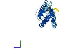 Protein Structure (PS) image for Tetraspanin 9 (TSPAN9) (AA 1-239) protein (His tag) (ABIN7544878)