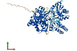 Protein Structure (PS) image for Acyl-CoA Synthetase Bubblegum Family Member 2 (ACSBG2) (AA 1-667) protein (His tag) (ABIN7557015)