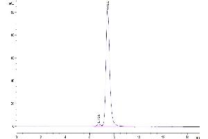 Size-exclusion chromatography-High Pressure Liquid Chromatography (SEC-HPLC) image for HLA Class I Histocompatibility Antigen, alpha Chain G (HLAG) (AA 25-305), (Monomer) protein (His-Avi Tag,Peptide (RIIPRHLQL)) (ABIN7274815)