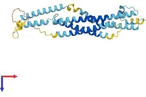 AlphaFold protein structure predicition of Mouse Recombinant Stx19 Protein, UniprotID Q8R1Q0