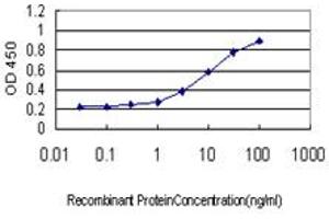 Detection limit for recombinant GST tagged SSBP3 is approximately 0. (SSBP3 Antikörper  (AA 1-102))