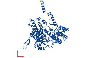 Protein Structure (PS) image for serine Hydroxymethyltransferase 1 (Soluble) (SHMT1) (AA 1-478) protein (His tag) (ABIN7563360)