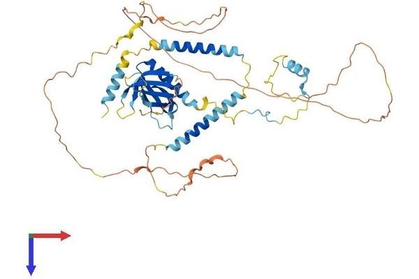 PLEKHO2 Protein (AA 1-490) (His tag)