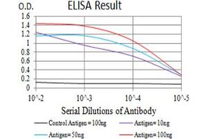 ELISA image for anti-Glutamate Receptor, Metabotropic 6 (GRM6) (AA 480-585) antibody (ABIN5611180)