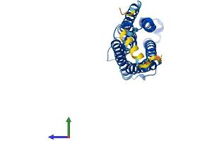Protein Structure (PS) image for Cytochrome B-561 (CYB561) (AA 1-250) protein (His tag) (ABIN7557598)