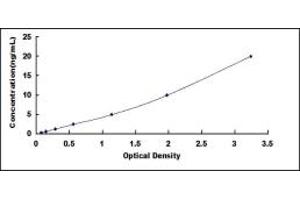 Phospholipase C gamma 2 ELISA Kit