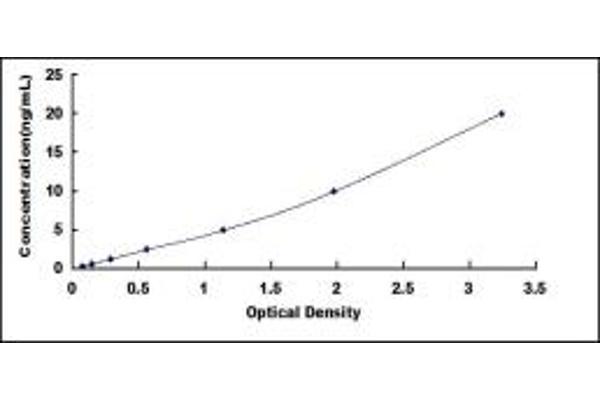 Phospholipase C gamma 2 ELISA Kit