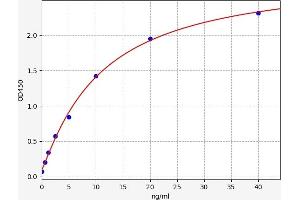 IGF2R ELISA Kit