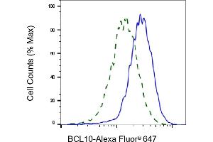 Validation of BCL10 knockdown using flow cytometry. (Rekombinanter BCL10 Immune Signaling Adaptor Antikörper)