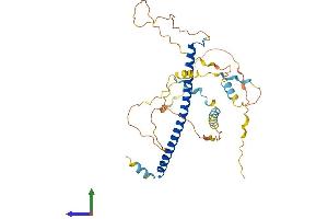 Protein Structure (PS) image for CCAAT/enhancer Binding Protein (C/EBP), alpha (CEBPA) (AA 1-359) protein (His tag) (ABIN7563431)