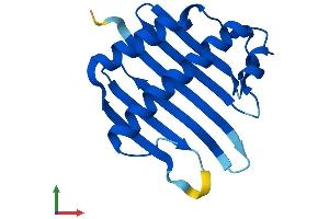 MAGOH Protein (AA 1-146) (His tag)
