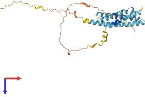 MS4A15 Protein (AA 1-245) (His tag)