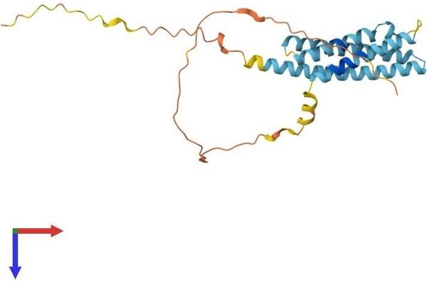 MS4A15 Protein (AA 1-245) (His tag)