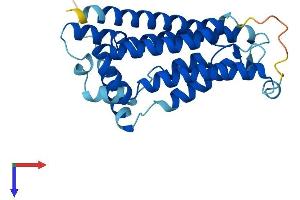Nurim Protein (AA 1-262) (His tag)