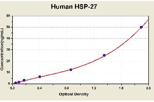 Diagramm of the ELISA kit to detect Human HSP-27with the optical density on the x-axis and the concentration on the y-axis. (HSP27 ELISA Kit)