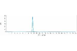 The purity of Anti- Human LAG3( Relatlimab)is 100 % , determined by SEC-HPLC. (Rekombinanter LAG3 (Relatlimab Biosimilar) Antikörper)
