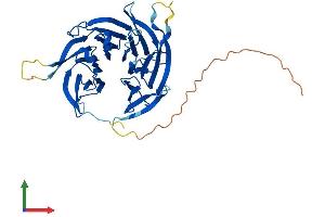 AlphaFold protein structure predicition of Mouse Recombinant Seh1l Protein, UniprotID Q8R2U0