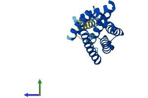 AlphaFold protein structure predicition of Mouse Recombinant Tnfaip8l1 Protein, UniprotID Q8K288