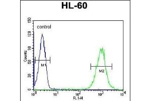 Flow Cytometry (FACS) image for anti-Chromosome 1 Open Reading Frame 38 (C1orf38) (AA 613-641), (C-Term) antibody (ABIN6242717)