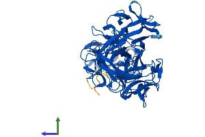 Protein Structure (PS) image for Fascin 2 (FSCN2) (AA 1-492) protein (His tag) (ABIN7557021)