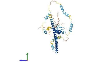 Protein Structure (PS) image for Fasciculation and Elongation Protein zeta 2 (Zygin II) (FEZ2) (AA 1-353) protein (His tag) (ABIN7547631)