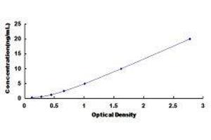 Myosin Heavy Chain 4, Skeletal Muscle (MYH4) ELISA Kit