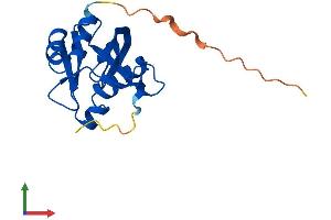 Protein Structure (PS) image for Nudix (Nucleoside Diphosphate Linked Moiety X)-Type Motif 3 (NUDT3) (AA 1-168) protein (His tag) (ABIN7561530)