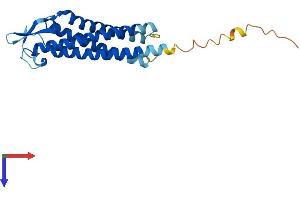 Transmembrane Protein 179B (TMEM179B) (AA 1-219) protein (His tag)