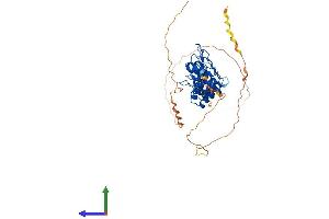 AlphaFold protein structure predicition of Mouse Recombinant Bcl3 Protein, UniprotID Q9Z2F6 (BCL3 Protein (AA 1-448) (His tag))