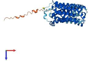 SLC16A13 Protein (AA 1-428) (His tag)