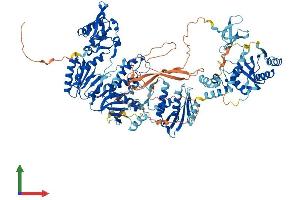 AlphaFold protein structure predicition of Human Recombinant ERVK-10 Protein, UniprotID P10266
