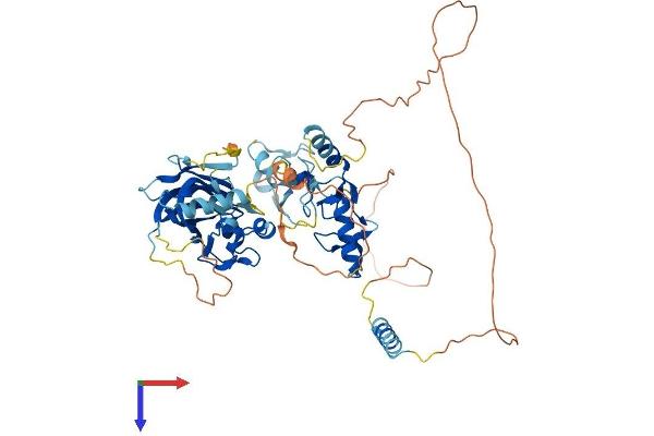 UBOX5 Protein (AA 1-541) (His tag)