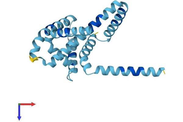 ARL6IP1 Protein (AA 1-203) (His tag)