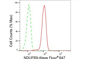 Flow cytometric analysis of NDUFB9 expression in C2C12 cells using NDUFB9 antibody (ABIN7799553), 1:2,000). (Rekombinanter NDUFB9 Antikörper)