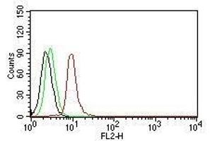 Flow Cytometric analysis of human Cyclin D1 on Jurkat cells.