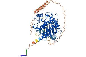 Protein Structure (PS) image for Myosin Light Chain Kinase Family, Member 4 (MYLK4) (AA 1-386) protein (His tag) (ABIN7557538)