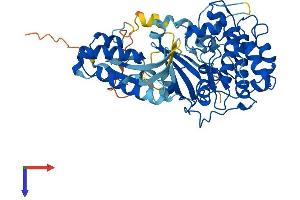 SGK3 Protein (AA 1-496) (His tag)