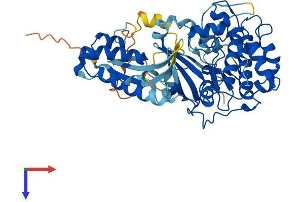 SGK3 Protein (AA 1-496) (His tag)
