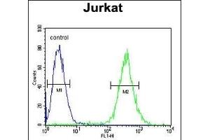 GLRX5 Antibody (C-term) (ABIN651225 and ABIN2840140) flow cytometric analysis of Jurkat cells (right histogram) compared to a negative control cell (left histogram). (GLRX5 Antikörper  (C-Term))