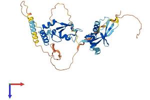 PCGF6 Protein (AA 1-350) (His tag)