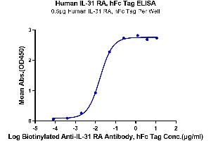 Immobilized Human IL-31 RA, hFc Tag at 5 μg/mL (100 μL/well) on the plate. (IL31RA Protein (AA 20-519) (Fc Tag))