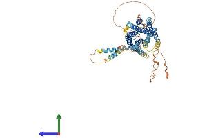 Protein Structure (PS) image for G Protein-Coupled Receptor 176 (GPR176) (AA 1-515) protein (His tag) (ABIN7548055)