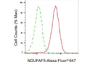 anti-Chromosome 20 Open Reading Frame 7 (C20orf7) antibody