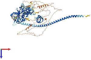 CCAR2 Protein (AA 1-922) (His tag)