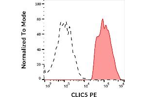 Separation of CLIC5 transfected HEK-293 cells stained using anti-CLIC5 (CLIC5-02) PE antibody (concentration in sample 3 μg/mL, red-filled) from unstained CLIC5 transfected HEK-293 cells (GAM APC, black-dashed) in flow cytometry analysis (intracellular staining). (CLIC5 Antikörper  (AA 160-173) (PE))