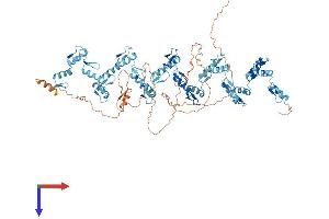 AlphaFold protein structure predicition of Human Recombinant ZNF658B Protein, UniprotID Q4V348
