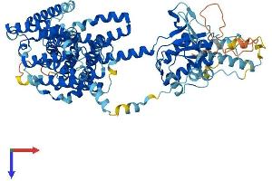 SLC26A3 Protein (AA 1-757) (His tag)