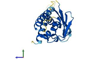 Protein Structure (PS) image for Trafficking Protein Particle Complex 6A (TRAPPC6A) (AA 1-159) protein (His tag) (ABIN7558182)