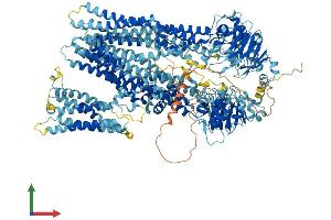 Protein Structure (PS) image for ATP-Binding Cassette, Sub-Family C (CFTR/MRP), Member 2 (ABCC2) (AA 1-1543) protein (His tag) (ABIN7564769)